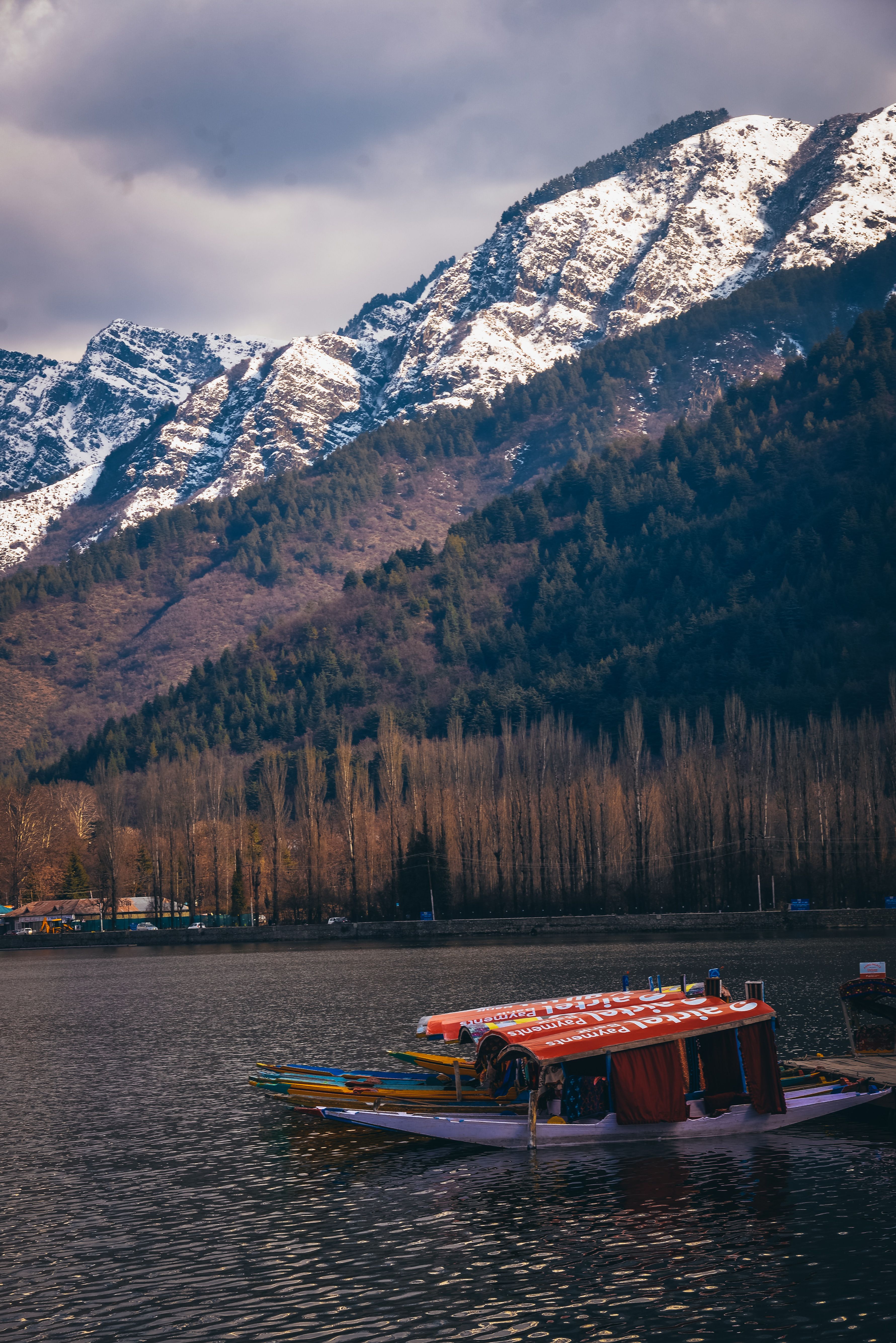 Kashmir